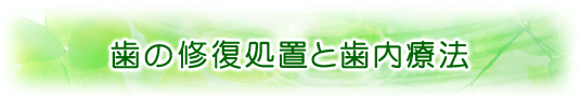 歯の修復処置と歯内療法