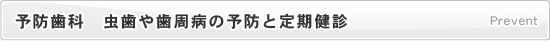 予防歯科　虫歯や歯周病の予防と定期健診